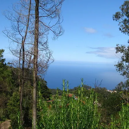 Шале Cabana Do Pico *