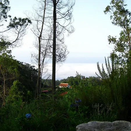 Alpesi faház Cabana Do Pico *
