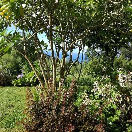Cabana Do Pico *