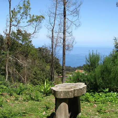 Cabana Do Pico Porto Moniz