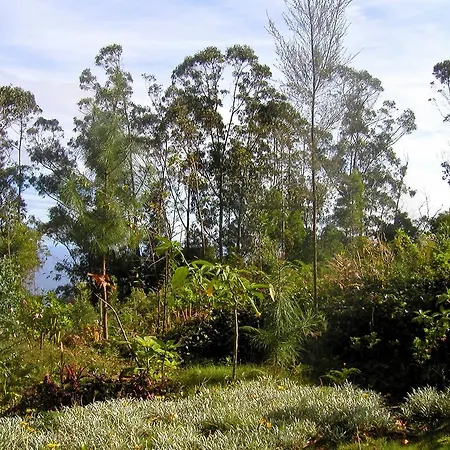 Cabana Do Pico