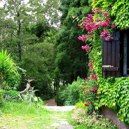 Chalet Cabana Do Pico