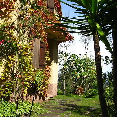 Chalet Cabana Do Pico
